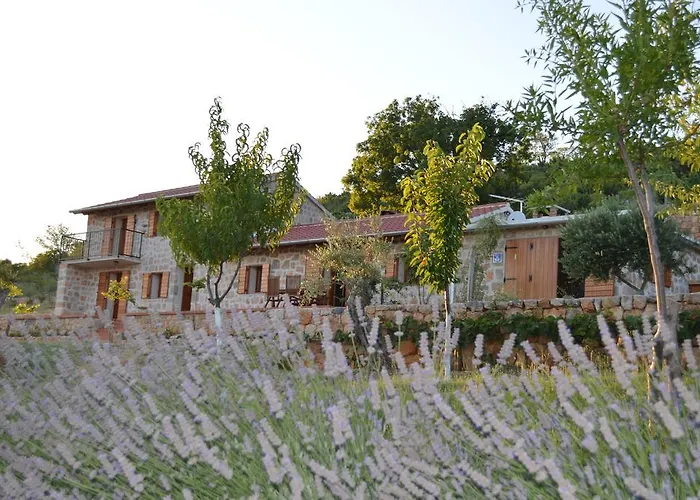 Feriehus Mara - Secluded House With Breathtaking View- Seline, Starigrad Paklenica