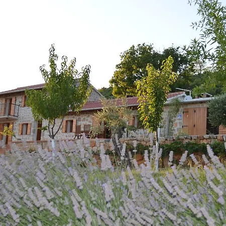 Nyaraló Mara - Secluded House With Breathtaking View- Seline, Starigrad Paklenica